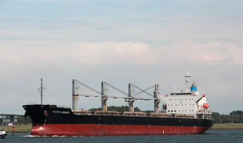 MEL GRACE Bulk Carrier IMO 9590955 photo 4
