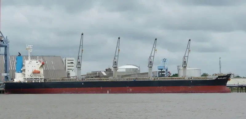 MEL GRACE Bulk Carrier IMO 9590955 photo 5