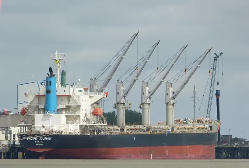 MEL GRACE Bulk Carrier IMO 9590955 photo 6