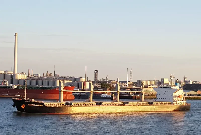 MEL GRACE Bulk Carrier IMO 9590955 photo 7