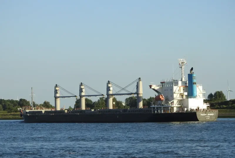 MEL GRACE Bulk Carrier IMO 9590955 photo 8