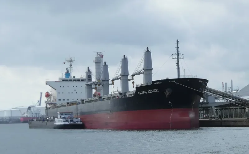 MEL GRACE Bulk Carrier IMO 9590955 photo 9