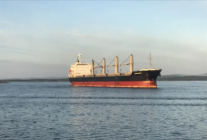 IRMGARD Bulk Carrier IMO 9590967 photo 2