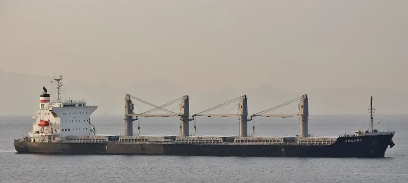 IRMGARD Bulk Carrier IMO 9590967 photo 10