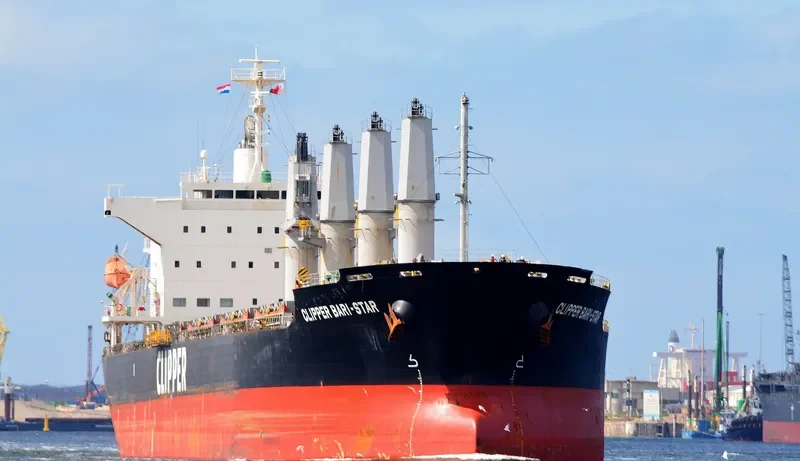OCEAN BARI STAR Bulk Carrier IMO 9590979