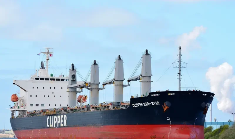 OCEAN BARI STAR Bulk Carrier IMO 9590979 photo 2