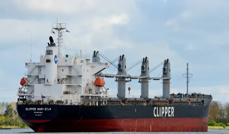 OCEAN BARI STAR Bulk Carrier IMO 9590979 photo 3