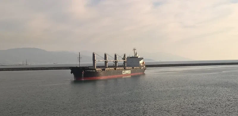 OCEAN BARI STAR Bulk Carrier IMO 9590979 photo 5