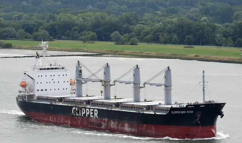 OCEAN BARI STAR Bulk Carrier IMO 9590979 photo 6