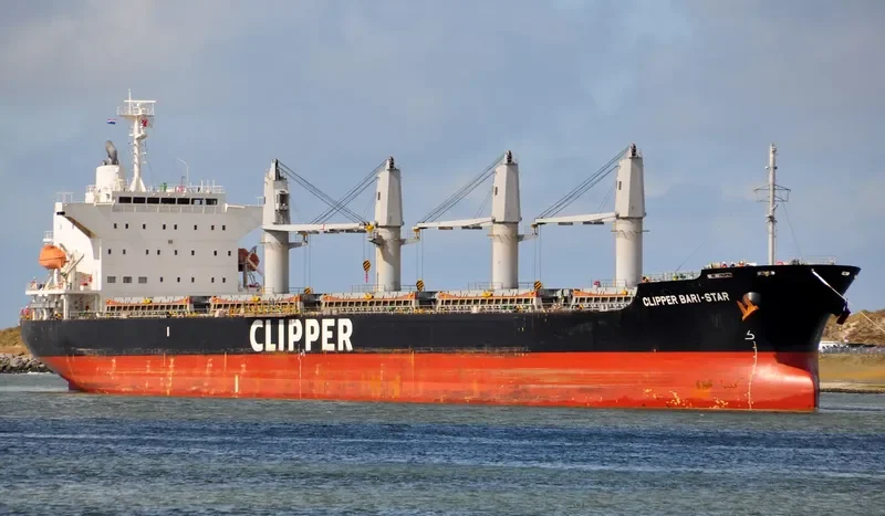 OCEAN BARI STAR Bulk Carrier IMO 9590979 photo 9