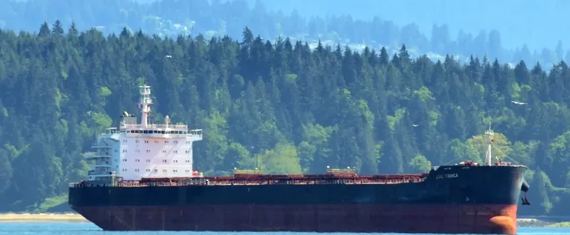 LMZ BIANCA Bulk Carrier IMO 9590981 photo 2