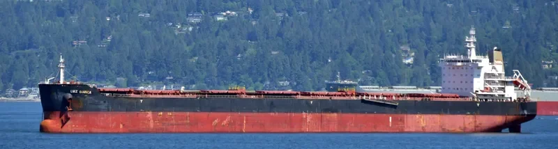 LMZ BIANCA Bulk Carrier IMO 9590981 photo 3