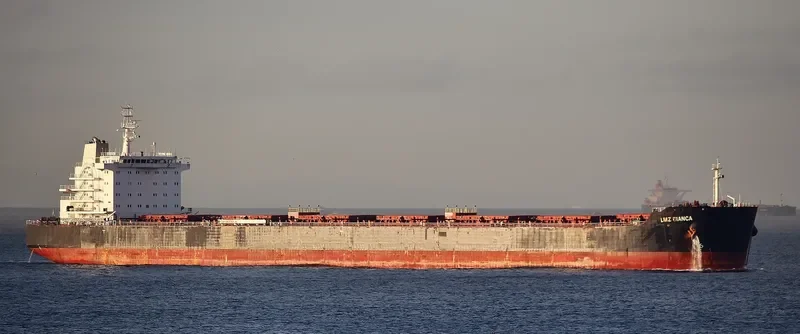 LMZ BIANCA Bulk Carrier IMO 9590981 photo 6