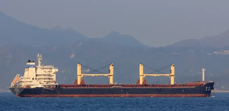 JIN HAI ZHENG Bulk Carrier IMO 9590993 photo 2