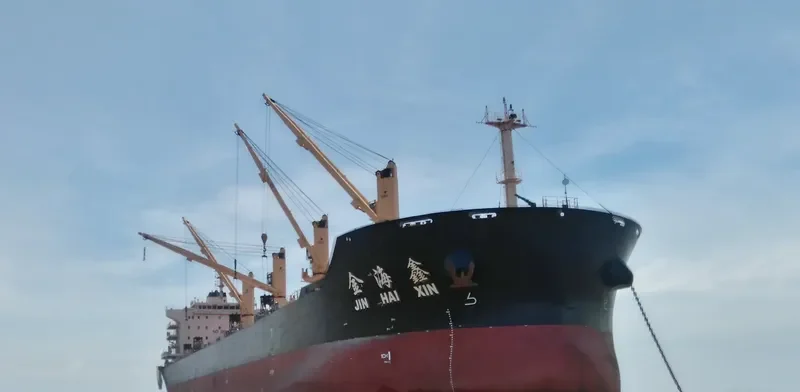 JIN HAI XIN Bulk Carrier IMO 9591002