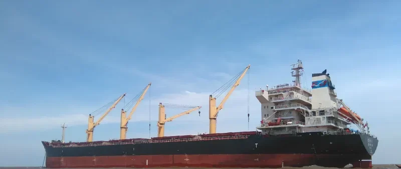 JIN HAI XIN Bulk Carrier IMO 9591002 photo 3