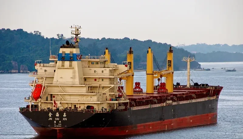 JIN HAI XIN Bulk Carrier IMO 9591002 photo 9