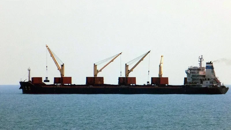 JIN HAI XIN Bulk Carrier IMO 9591002 photo 10