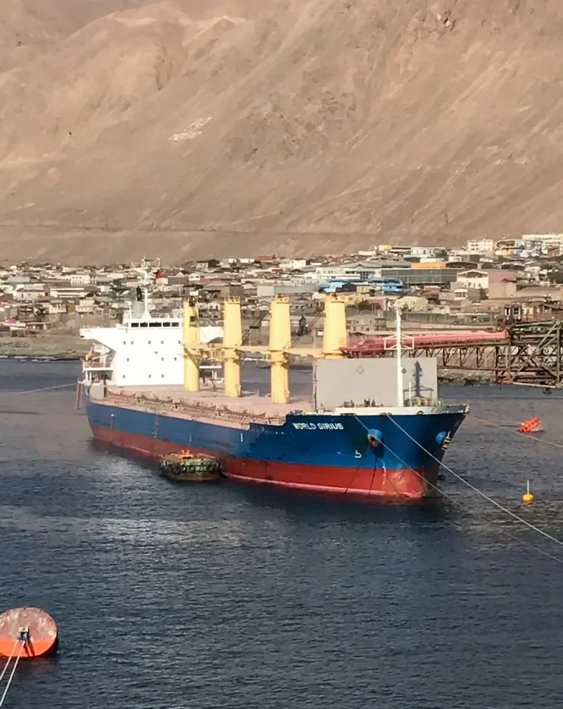 TAURUS Bulk Carrier IMO 9591064 photo 2