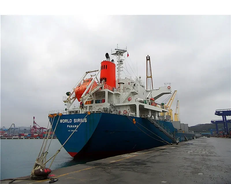 TAURUS Bulk Carrier IMO 9591064 photo 3
