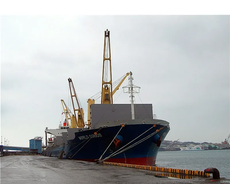 TAURUS Bulk Carrier IMO 9591064 photo 4