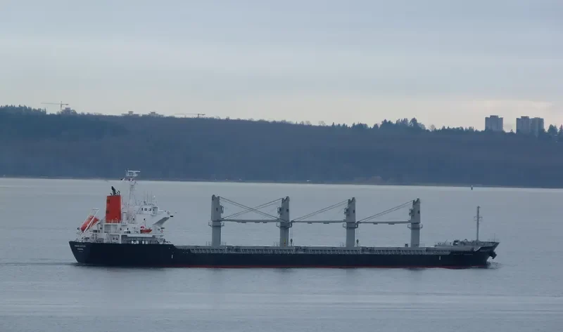 OCEAN VICTORY Bulk Carrier IMO 9591076