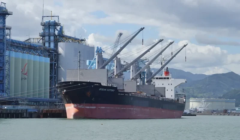 OCEAN VICTORY Bulk Carrier IMO 9591076 photo 2
