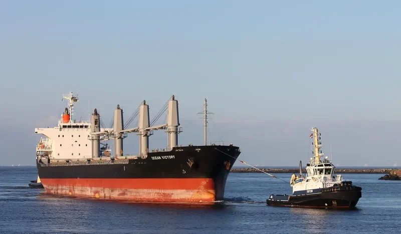 OCEAN VICTORY Bulk Carrier IMO 9591076 photo 7