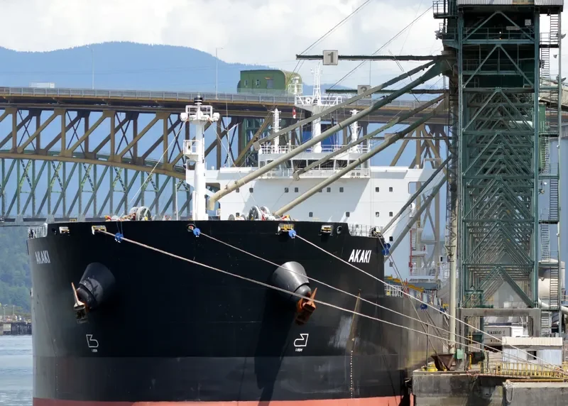 AKAKI Bulk Carrier IMO 9591143 photo 4