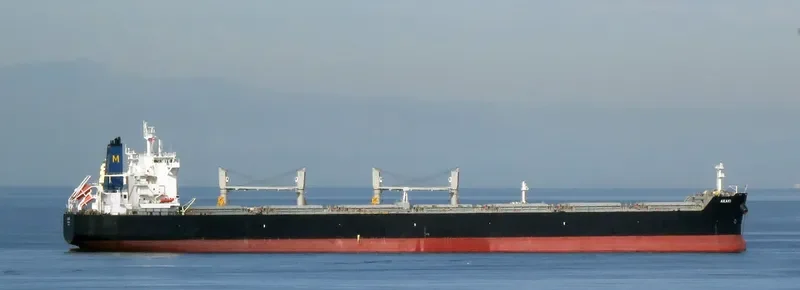 AKAKI Bulk Carrier IMO 9591143 photo 7