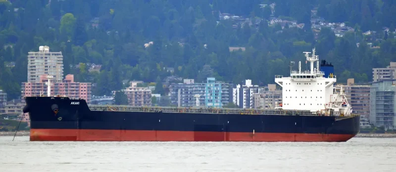 AKAKI Bulk Carrier IMO 9591143 photo 9