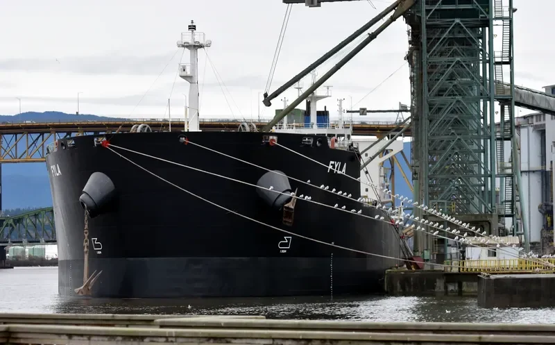 FYLA Bulk Carrier IMO 9591155