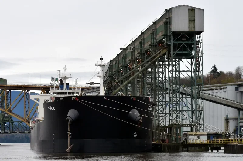 FYLA Bulk Carrier IMO 9591155 photo 2