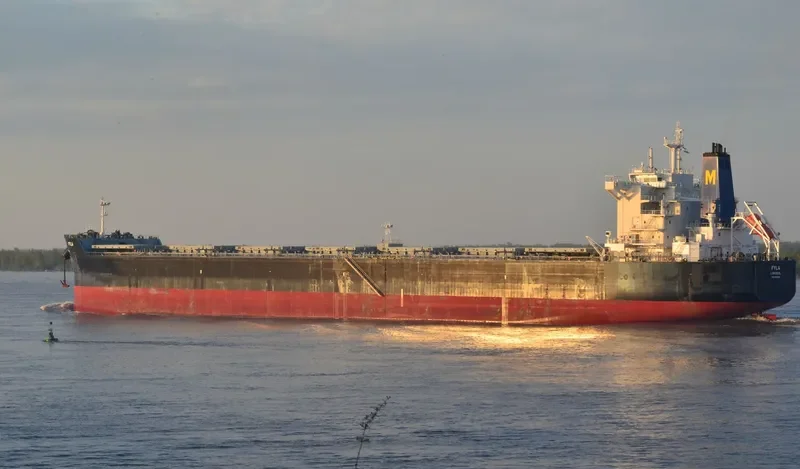 FYLA Bulk Carrier IMO 9591155 photo 3