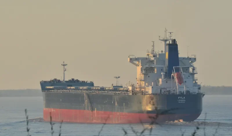 FYLA Bulk Carrier IMO 9591155 photo 4