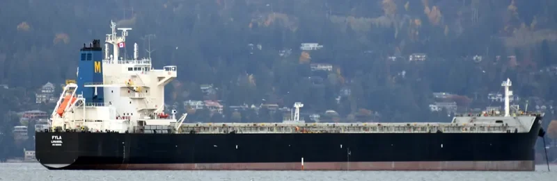 FYLA Bulk Carrier IMO 9591155 photo 6