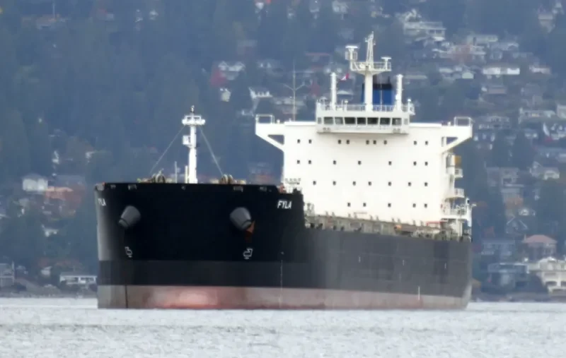 FYLA Bulk Carrier IMO 9591155 photo 7