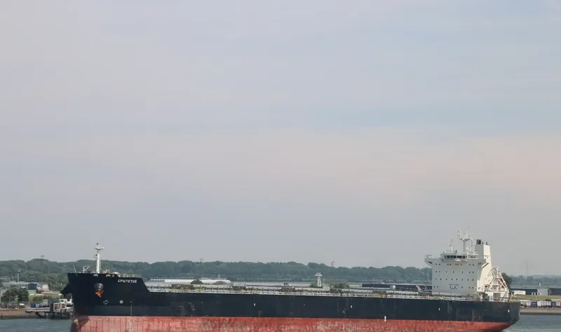 EPICTETUS Bulk Carrier IMO 9591167 photo 2