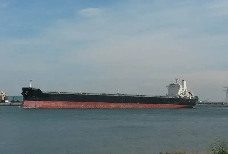 EPICTETUS Bulk Carrier IMO 9591167 photo 3