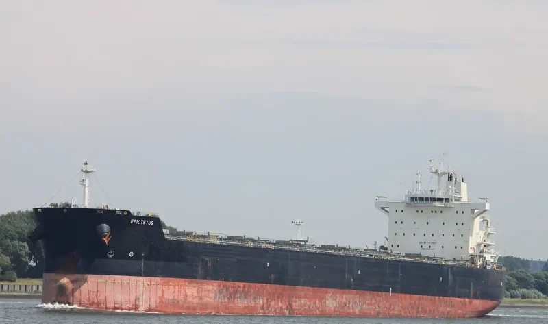 EPICTETUS Bulk Carrier IMO 9591167 photo 4