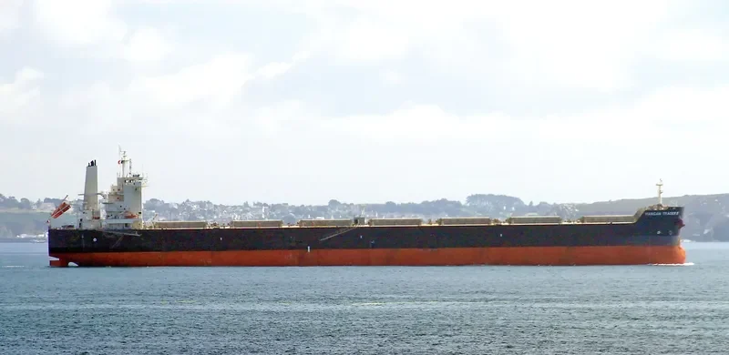 SENECA Bulk Carrier IMO 9591179