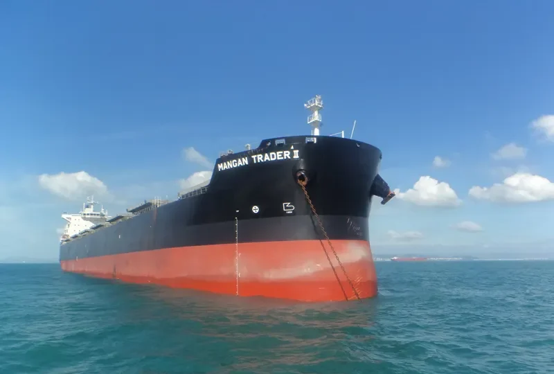 SENECA Bulk Carrier IMO 9591179 photo 2
