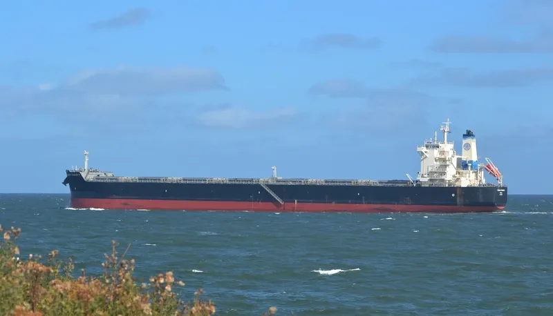 SENECA Bulk Carrier IMO 9591179 photo 4