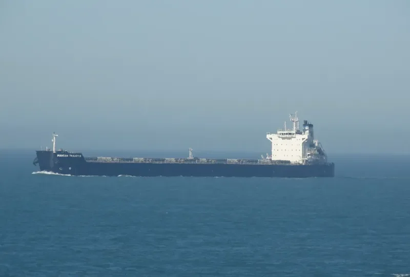 SENECA Bulk Carrier IMO 9591179 photo 6