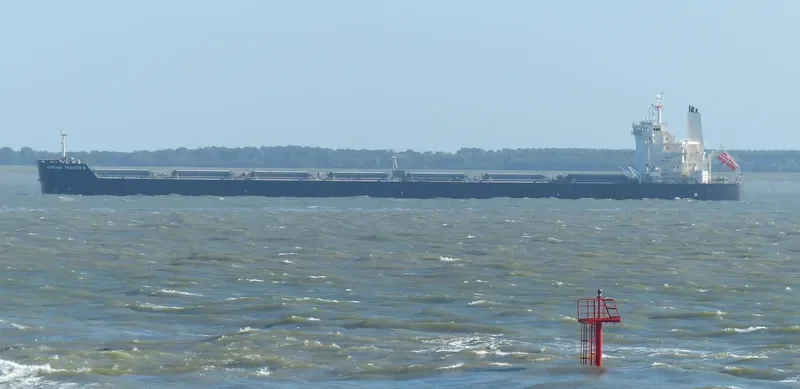 LEDRA Bulk Carrier IMO 9591181