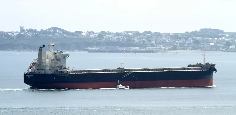 LEDRA Bulk Carrier IMO 9591181 photo 4