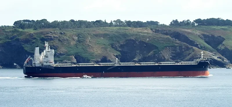 LEDRA Bulk Carrier IMO 9591181 photo 5