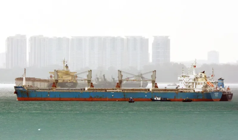ZHONG CHANG YU SHENG Bulk Carrier IMO 9591234