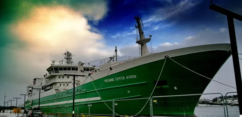 MEKHANIK SERGEY AGAPOV General Cargo IMO 9591296 photo 4