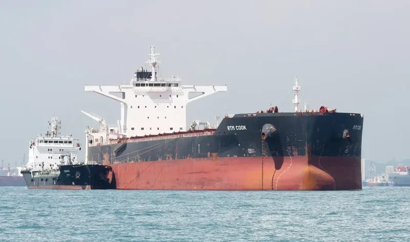 RTM COOK Bulk Carrier IMO 9591301
